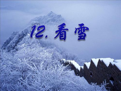 《看雪》PPT课件3 (共55张PPT)