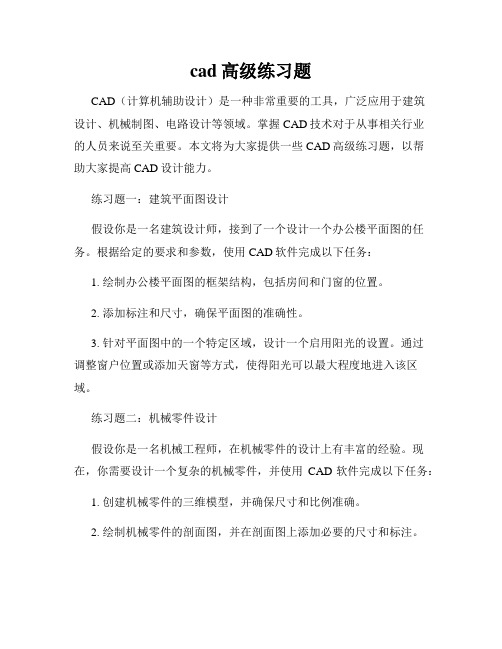 cad高级练习题