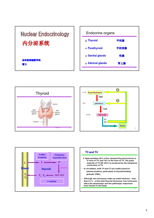 核医学 内分泌系统 ppt