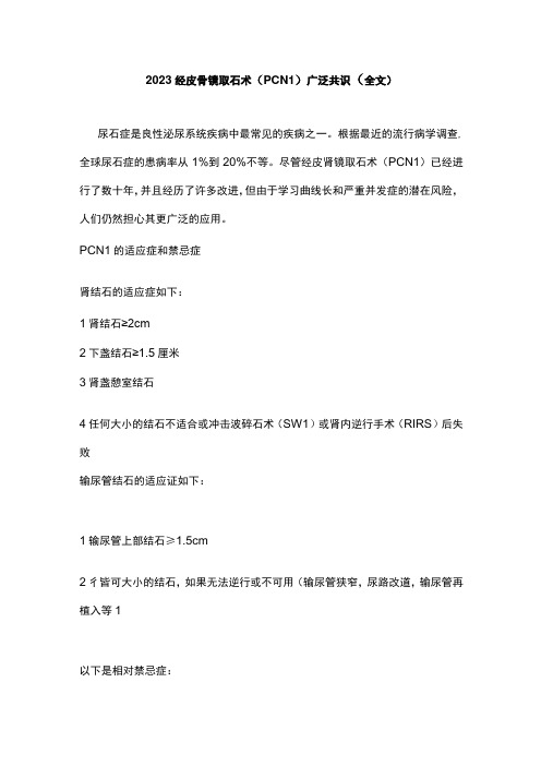 2023经皮肾镜取石术(PCNL)广泛共识(全文)