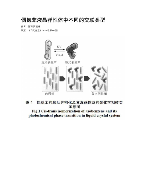 偶氮苯液晶弹性体中不同的交联类型