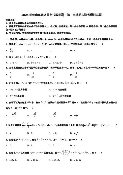 2024学年山东省齐鲁名校数学高三第一学期期末联考模拟试题含解析