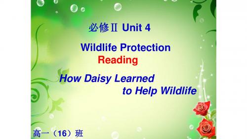 人教版高中英语Book2 Unit 4 Wildlife Protection Reading教学课件 (共13张PPT)