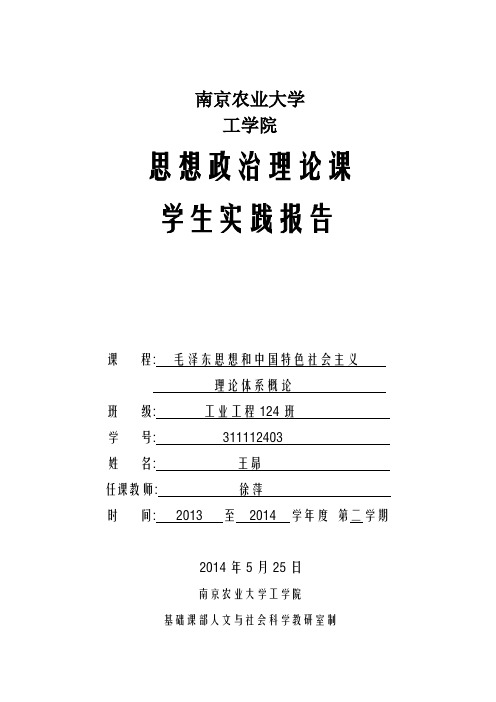 毛概实践报告()