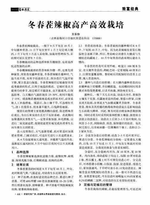 冬春茬辣椒高产高效栽培