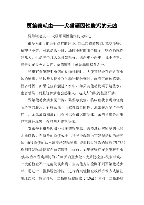 贾第鞭毛虫——犬猫顽固性腹泻的元凶