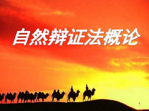 自然辩证法ppt