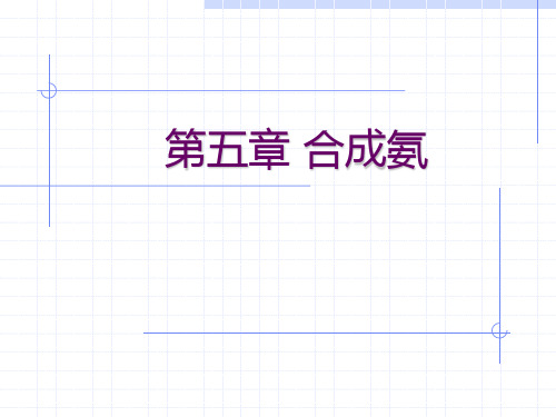第5章无机化学工艺学- 合成氨