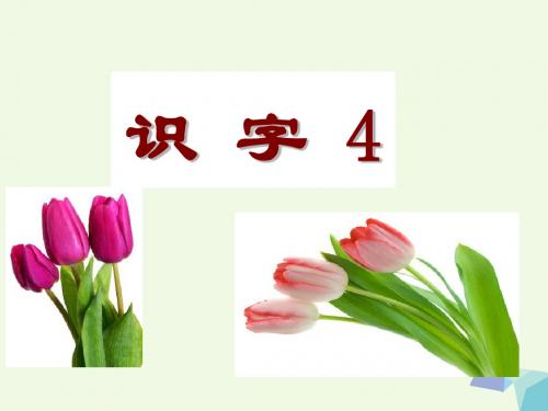 一年级语文下册识字4 PPT精品课件苏教版