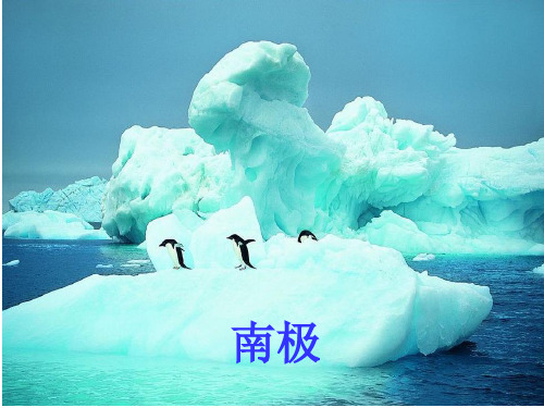 南极风光(沪教版)PPT课件
