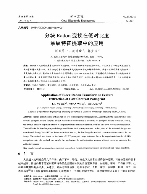 分块Radon变换在低对比度掌纹特征提取中的应用
