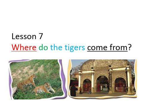 科普版六年级下册英语LESSON 7