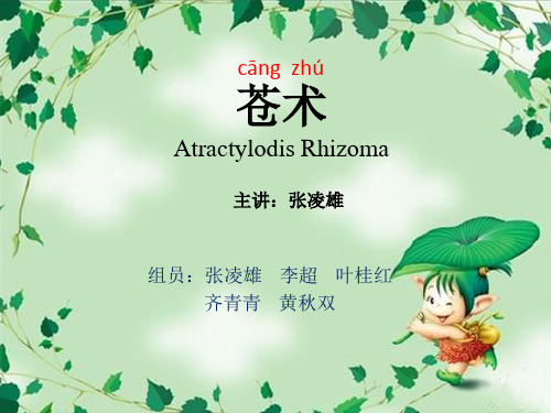 苍术讲义