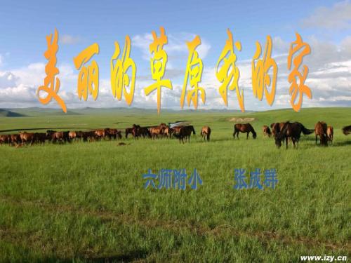 美丽的草原我的家