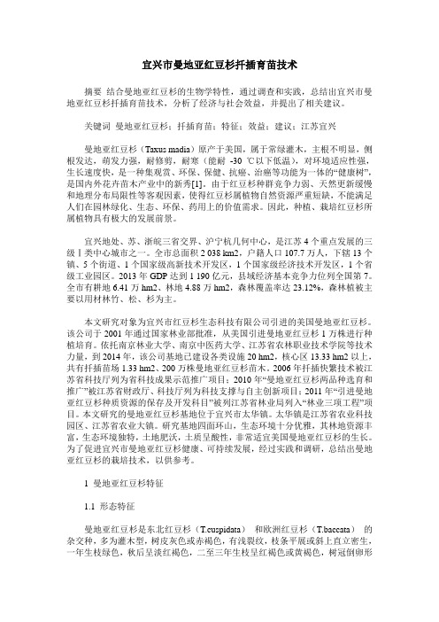 宜兴市曼地亚红豆杉扦插育苗技术