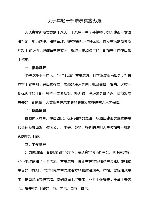 关于年轻干部培养实施办法