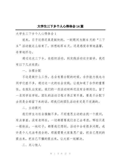 大学生三下乡个人心得体会14篇