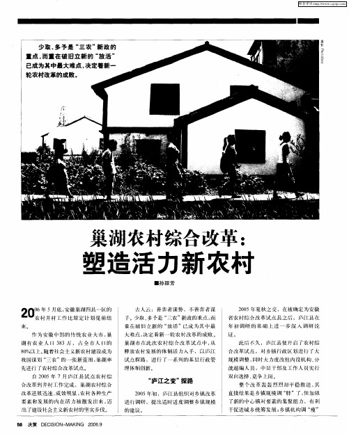 巢湖农村综合改革：塑造活力新农村