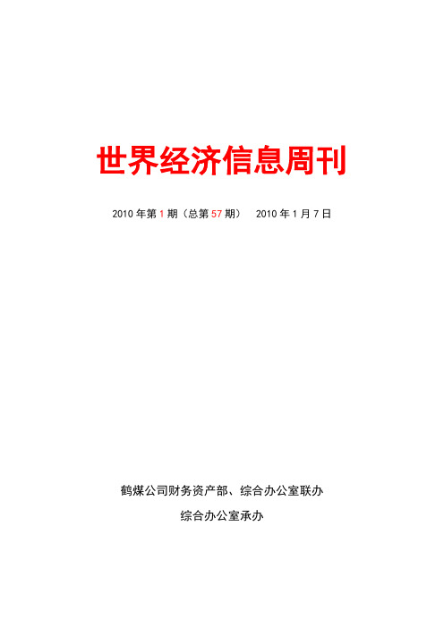 世界经济信息周刊-2010年01期(总第57期)