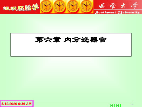 内分泌器官课件