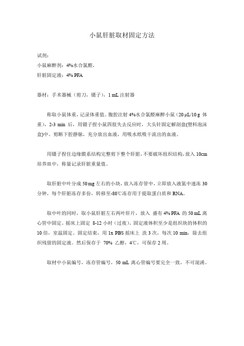 小鼠肝脏取材固定方法