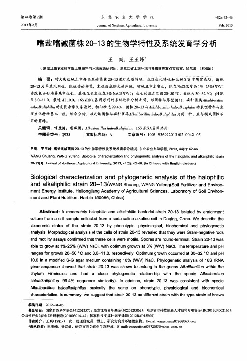 嗜盐嗜碱菌株20-13的生物学特性及系统发育学分析