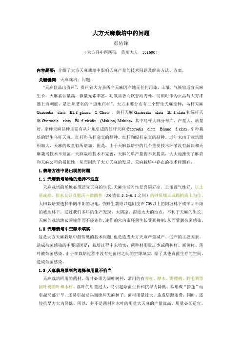 大方天麻栽培中问题