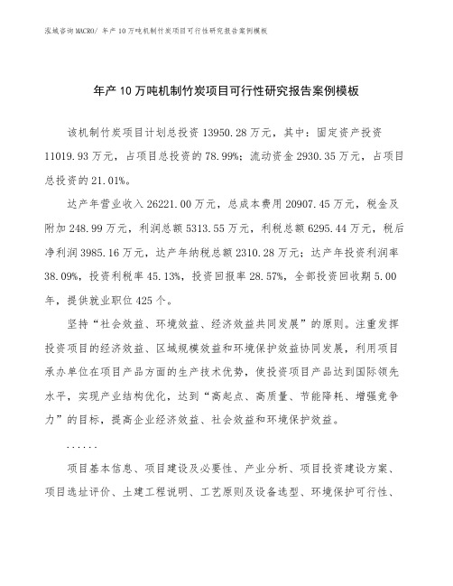 年产10万吨机制竹炭项目可行性研究报告案例模板