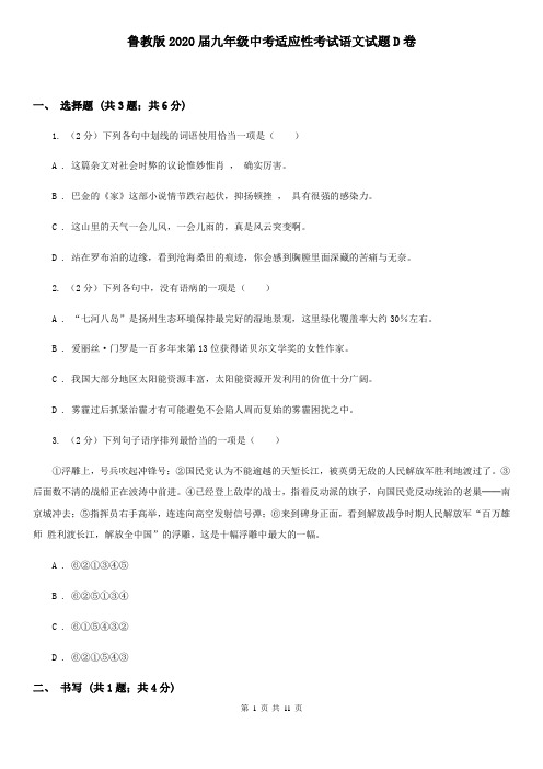 鲁教版2020届九年级中考适应性考试语文试题D卷