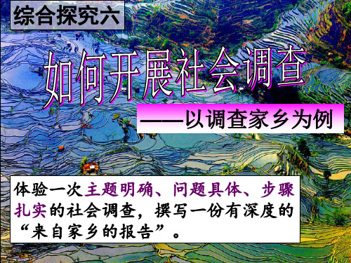 综合探究六如何开展社会调查