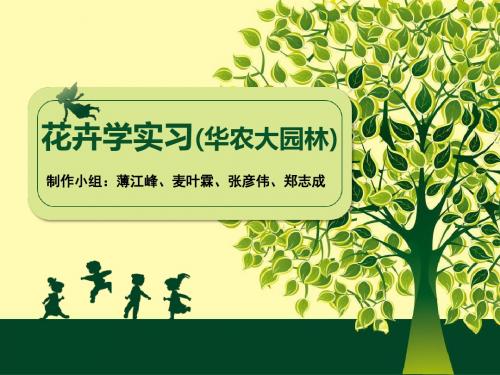 花卉学实习复习华农大园林