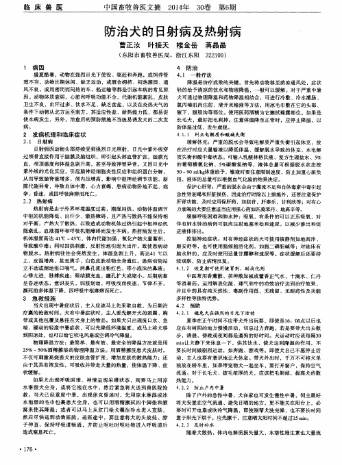 防治犬的日射病及热射病