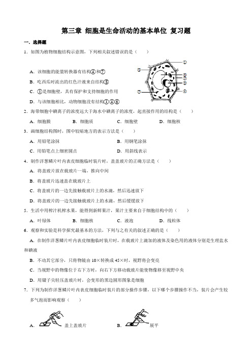 苏教版生物七年级上册第三章《细胞是生命活动的基本单位》复习题(解析版)