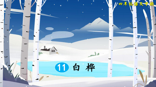 部编版四年级语文下册第11课《白桦》精美PPT课件