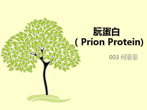 朊病毒