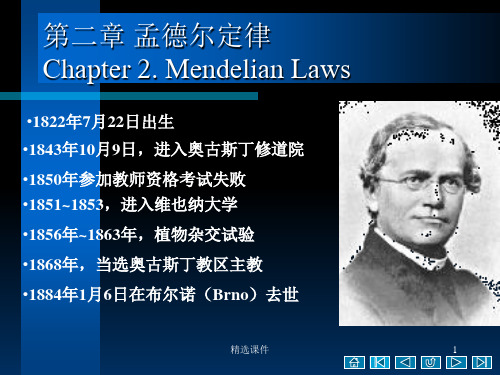 《孟德尔遗传定律》PPT课件