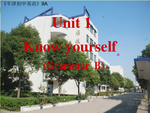 译林版九年级英语上册 Unit1 Know yourself Grammar课件(共34张PPT)