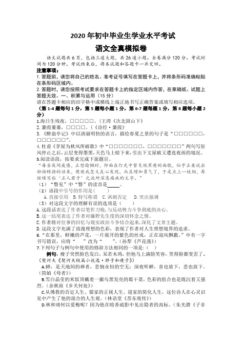 2020年中考语文全真模拟卷(带解析)