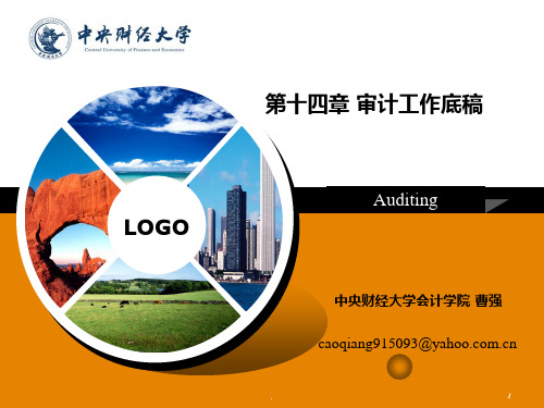 十四审计工作底稿PPT课件