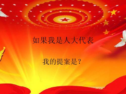 我是人大代表