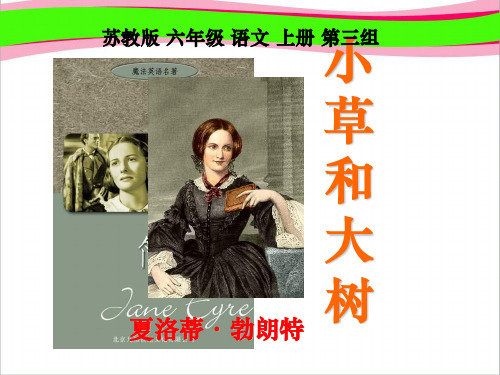 苏教版六年级上册《小草和大树》PPT课件 1    公开课精品课件