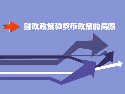 财政政策和货币政策的局限