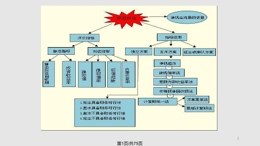 经济学资本预算PPT课件