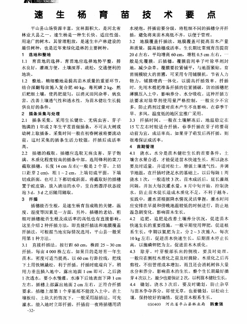 速生杨育苗技术要点