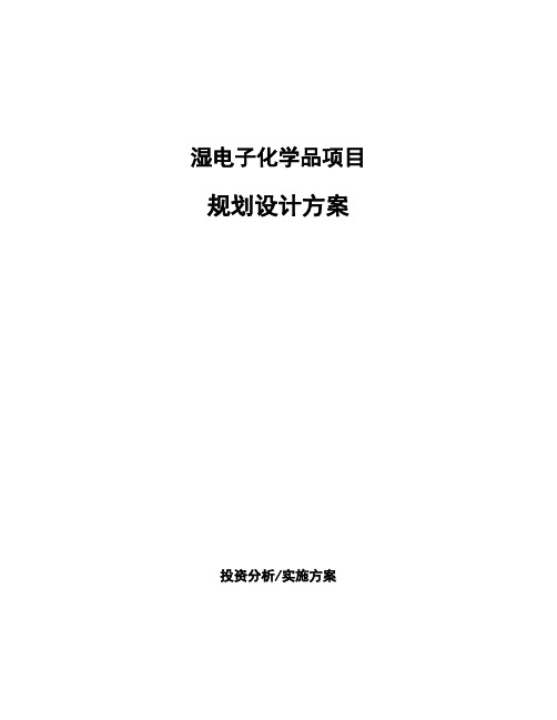 湿电子化学品项目规划设计方案 (1)
