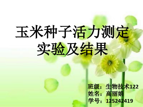 玉米种子活力测定  高丽娟