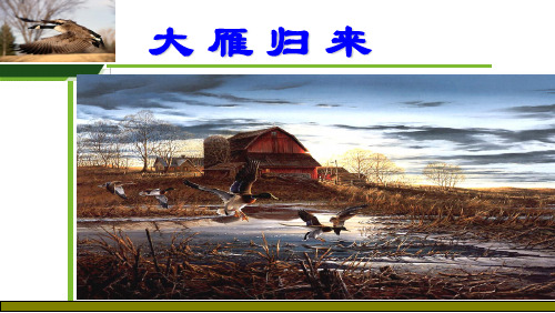 《大雁归来》1