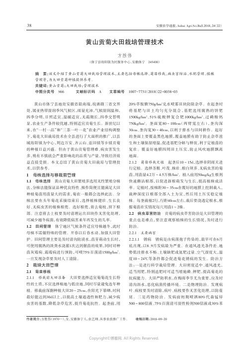 黄山贡菊大田栽培管理技术