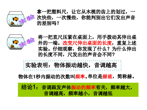 七年级科学音调 音色 响度(PPT)5-4