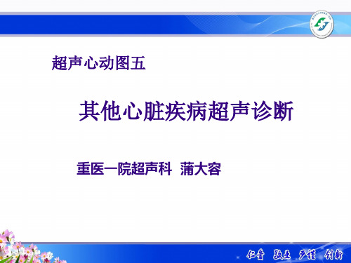 超声心动图五其他心脏疾病超声诊断